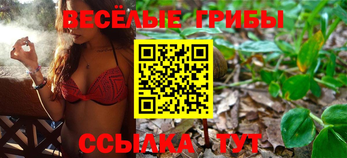Уссурийск  Псилоцибиновые грибы MAGIC MUSHROOMS  где можно купить   Вход с VPN  Галлюциногенные грибы Psilocybine cubensis 
